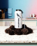 FNDMNTLS. Stainless steel water bottle with a straw lid
